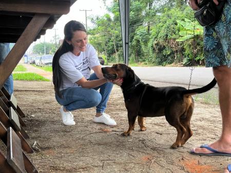 Ação no bairro Campo Grande realizou 75 vacinas em animais