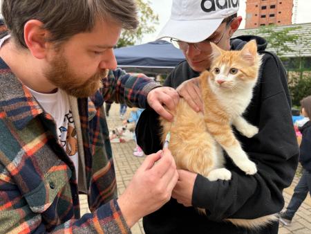 Campanha de Vacinação imunizou 171 animais no último sábado