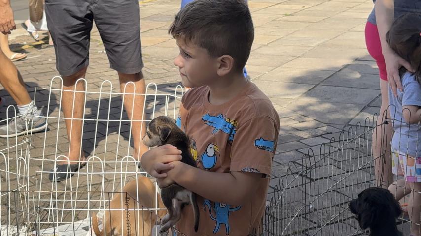 Feira de Animais registra recorde de adoções e reforça destaque na Causa Animal