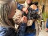 Vacinação pet garantiu a imunização de 97 animais