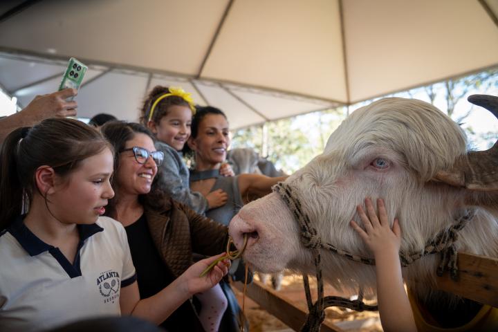 5ª Ruralfest encerra com 35 mil visitantes e consolida sucesso em Estância Velha
